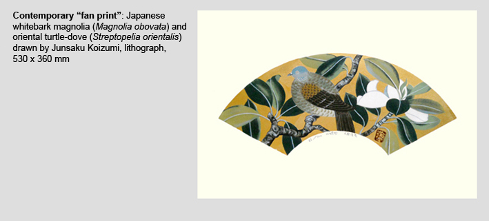 Junsaku Koizumi Fan Print